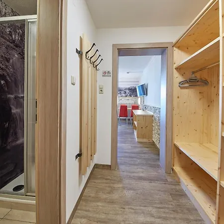 Ski & Bike Appartements Forsthaus Saalbach-Hinterglemm