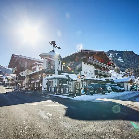 Ski & Bike Appartements Forsthaus *